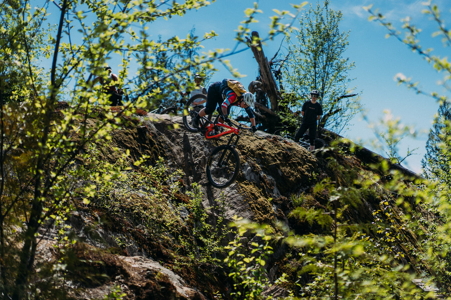 Custom Sea to Sky MTB Tours
