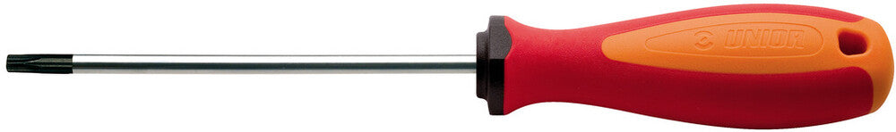 Screwdriver TBI with TX profile and hole