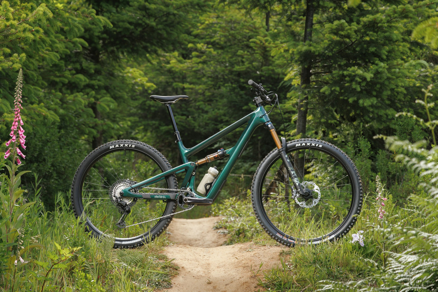 Ibis Ripley V5 | Adventure Awaits