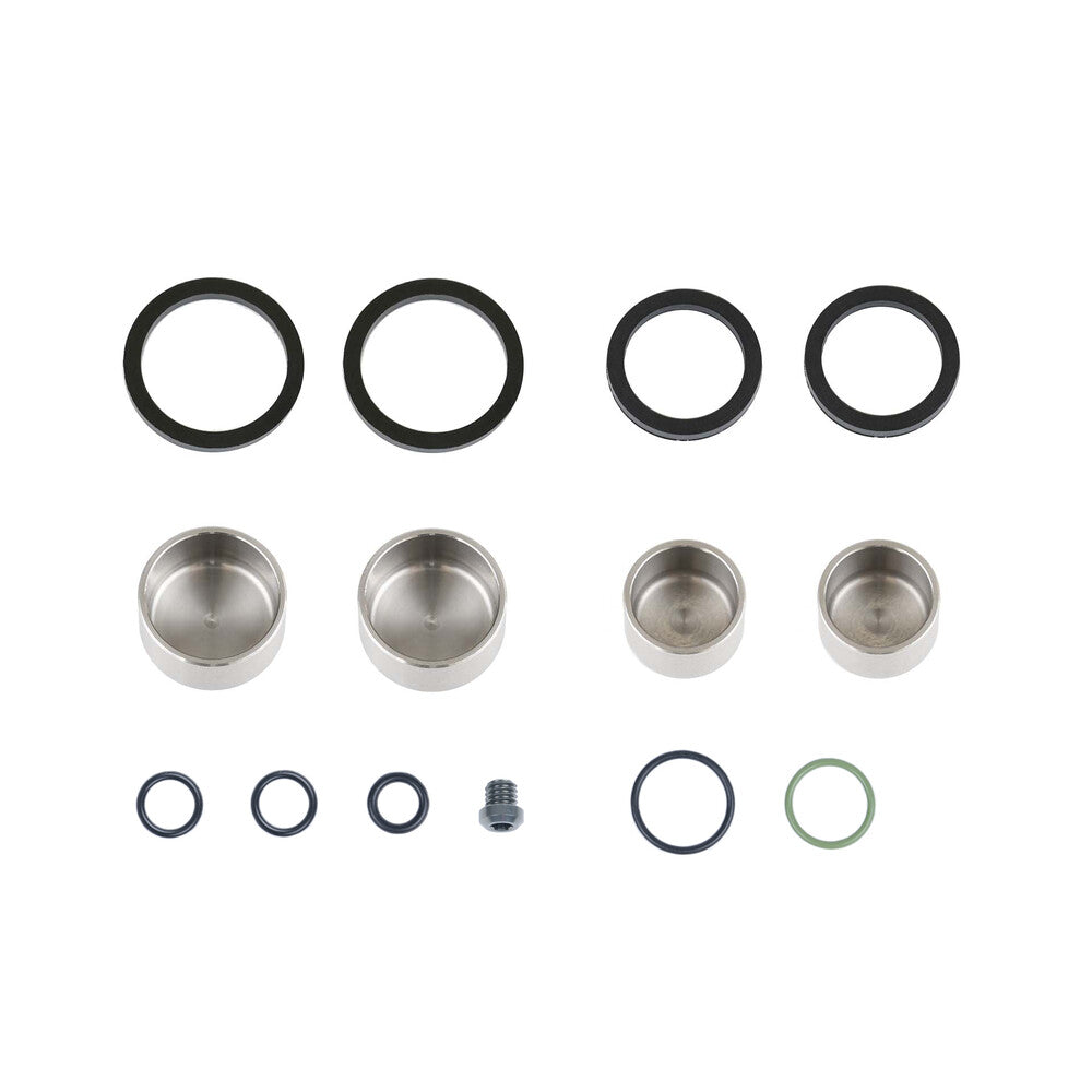 KIT SEALS & PISTONS C42 CALIPER OIL ASM