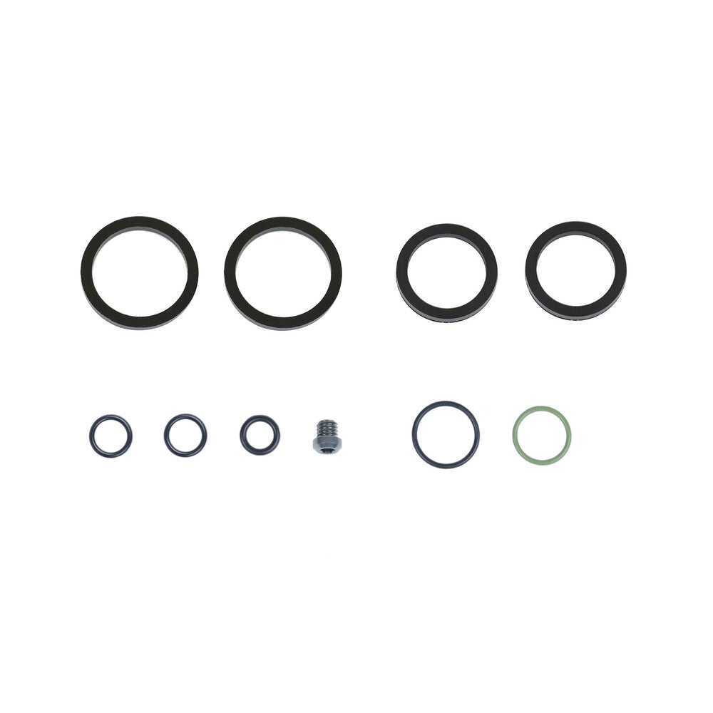 KIT SEALS C42 CALIPER OIL ASM