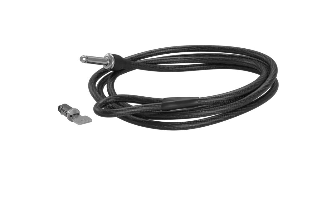 Integrated Bike Lock