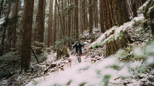 Why We Close for the Holidays (And What's Coming in 2026)