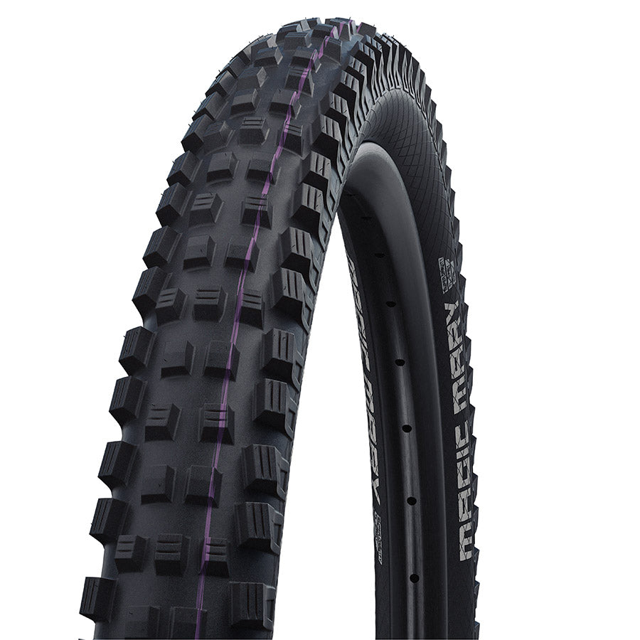 Schwalbe Magic Mary Gravity Pro Radial Tire, 29 x 2.50 (63-622), Black, Tubeless Ready, Ultra Soft compound, Folding