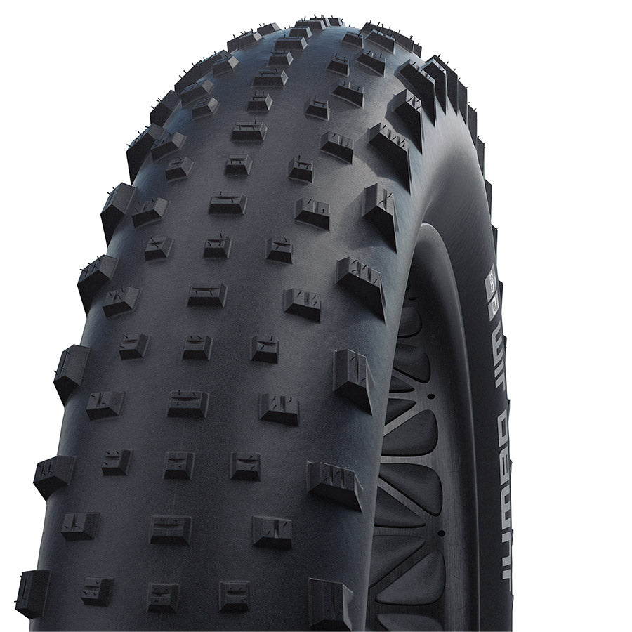 Schwalbe Jumbo Jim Tire, 26 x 4.00 (100-559), Black, Performance, Addix Compound, Folding