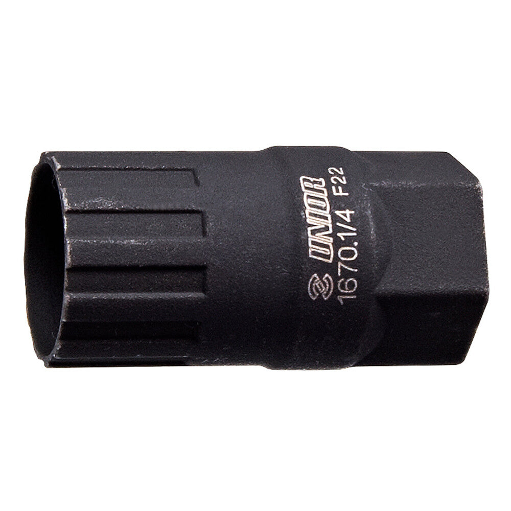 Freewheel removal tool