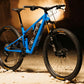 Ibis Ripley SL | Handcrafted in California