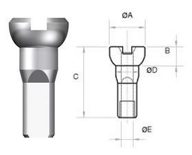 Sapim Nipple Brass 14mm, Silver, Polyax, Bag/500