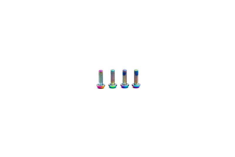 Oak Components Titanium Screw Set, M3 x 9mm, 4 pieces, Oil Slick (for SRAM Lever Bearing and Hope Cover)