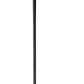 Champion Straight (100 Pc)