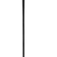 Champion Straight (100 pc)