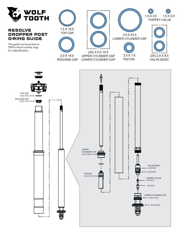 Resolve Lower Snap Ring