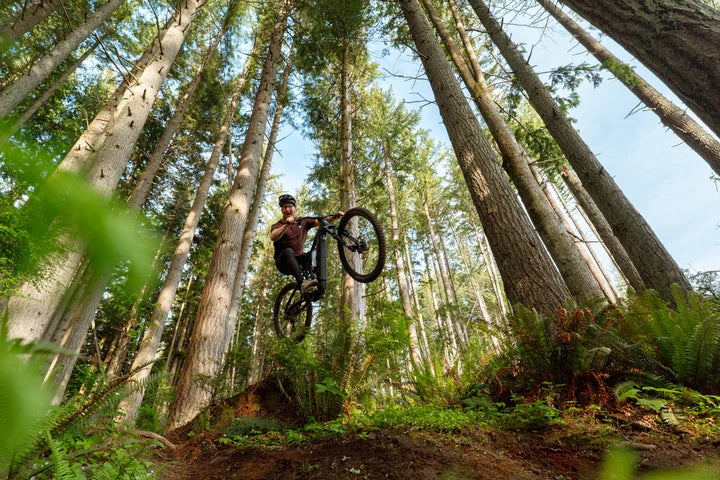 Marin Alpine Trail E | Enduro eMTB Demo & Rental