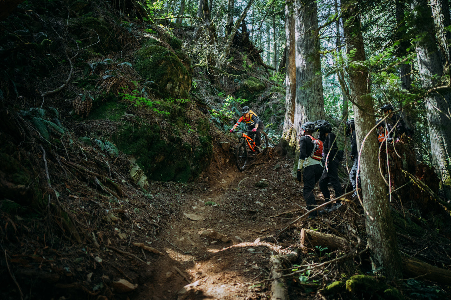 Untamed Development Race Team