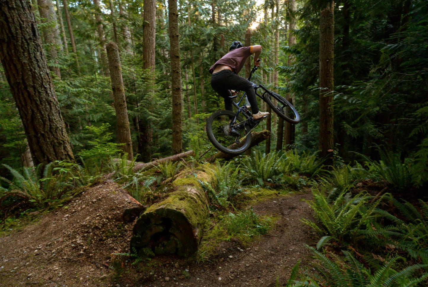 Marin Alpine Trail [NEW] | The Ultimate Enduro eMTB