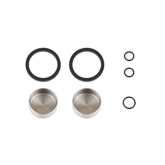 KIT SEALS & PISTONS C21 CALIPER OIL ASM