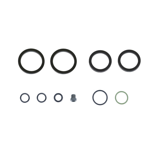 KIT SEALS C42 CALIPER OIL ASM