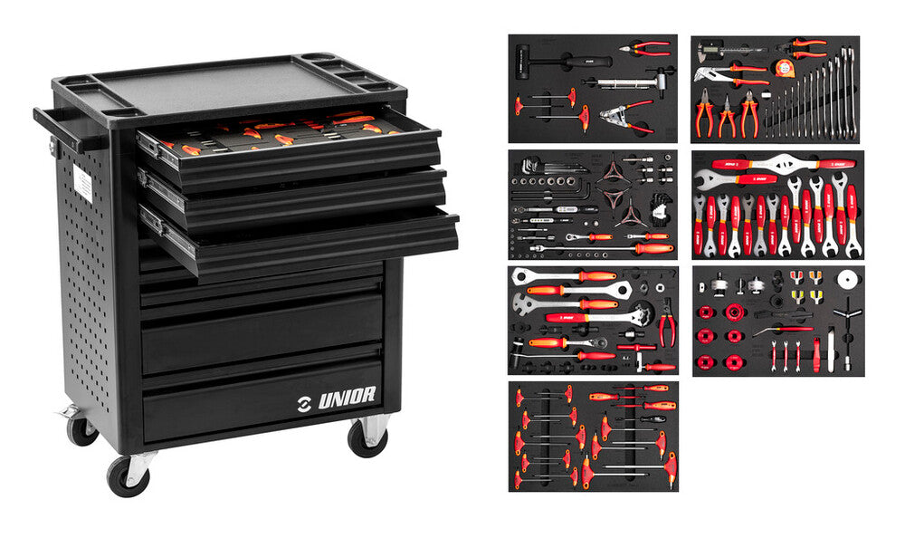 Professional Mechanic Tool Carriage