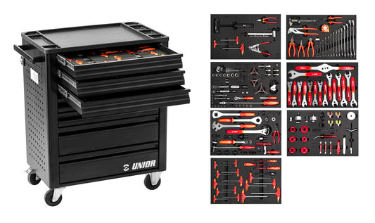 Professional Mechanic Tool Carriage