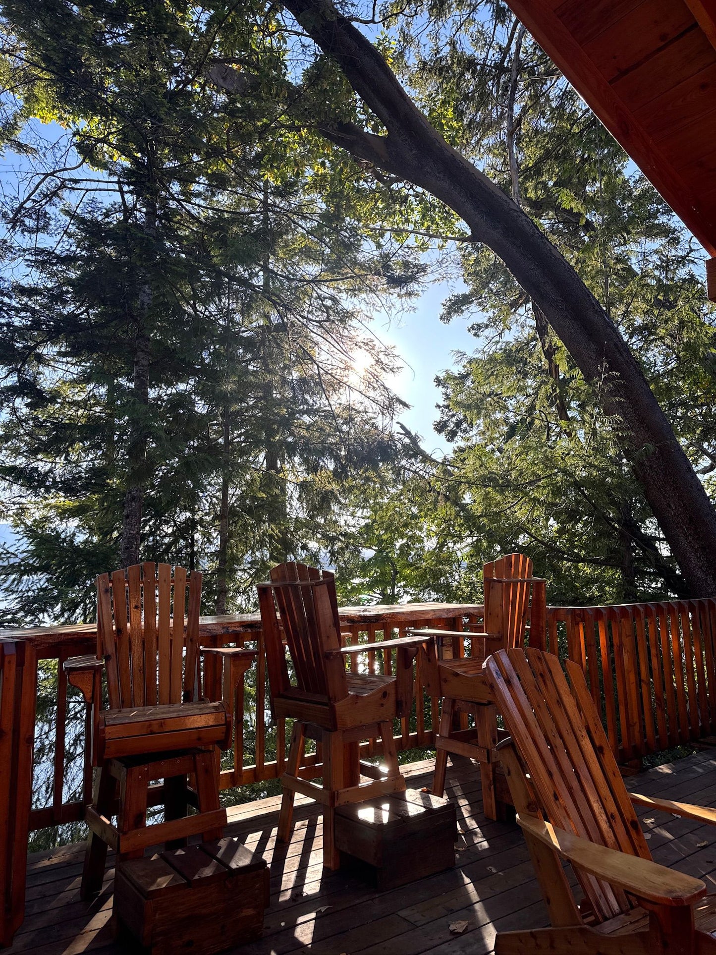 Hornby Island Ladies Mountain Bike Retreat