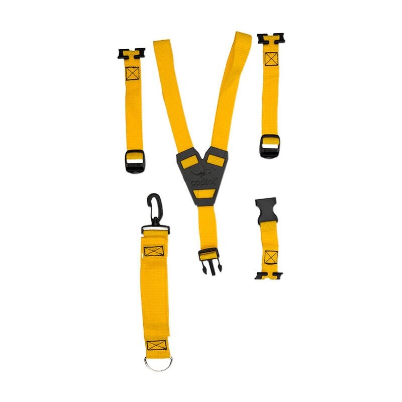 Taxi/Limo Harness