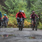 Mountain Bike Tours
