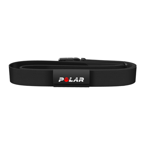 EQUINE BELT FOR TROTTERS