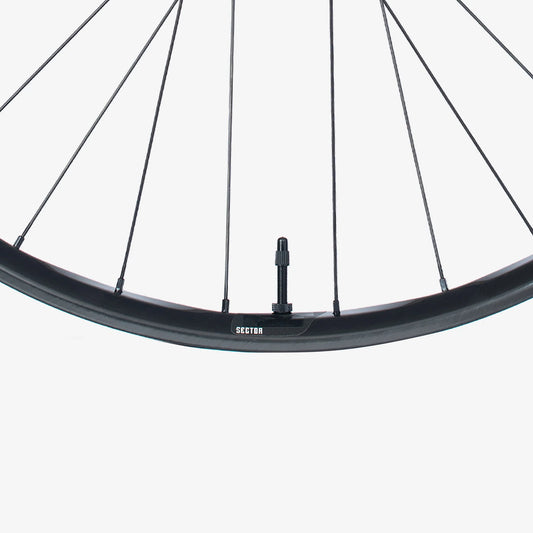 We Are One Convergence Sector